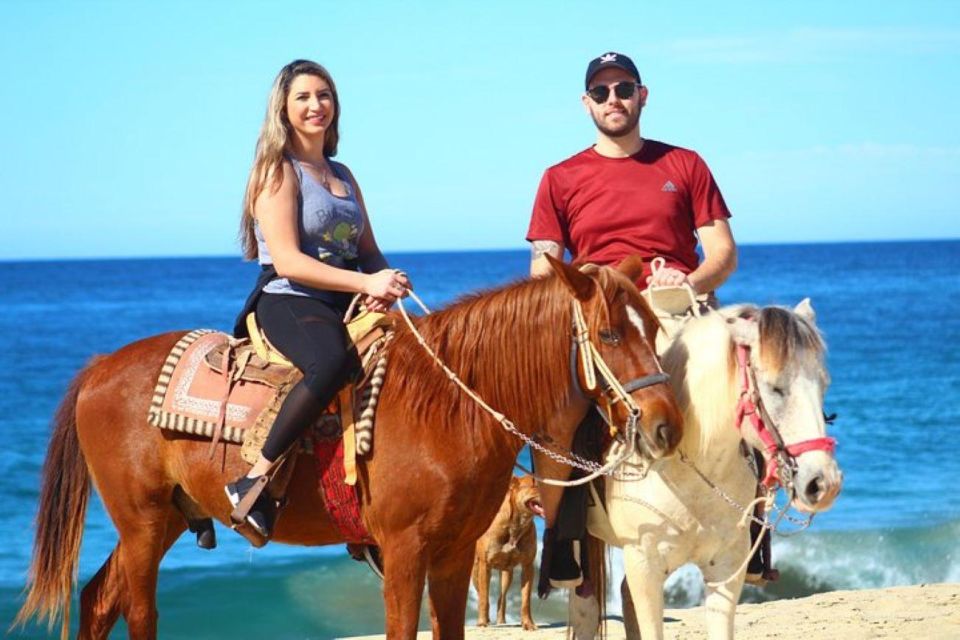Cabo San Lucas: Desert ATV & Beach Horseback Combo - Horseback Riding on the Beach