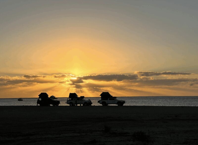 Cabo San Lucas: Discover Baja 4-Day Safari - The Value of the Price: Is It Justified?