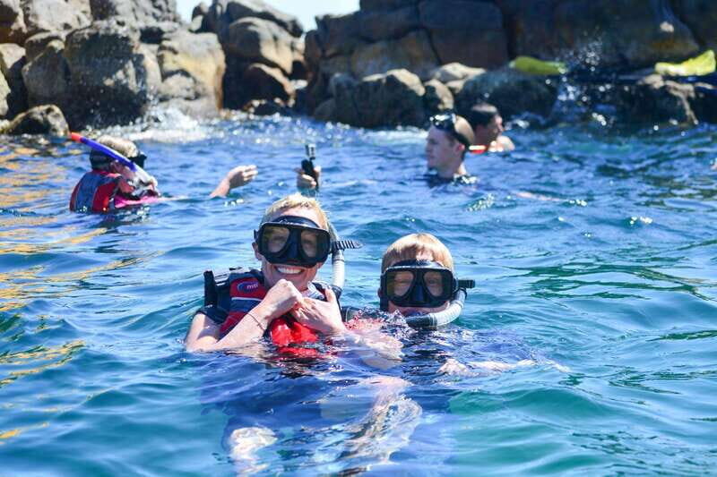 Cabo San Lucas: Guided Snorkeling Tour with Transportation - What to Bring & Consider