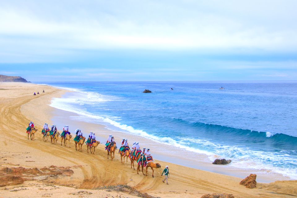 Cabo San Lucas: Guided Tour, Glass-Bottom Boat & Camel Ride - Getting to the Excursion
