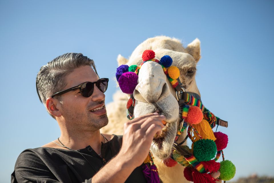 Cabo San Lucas: Half-day Guided Camel Safari Tour - Highlights of the Safari