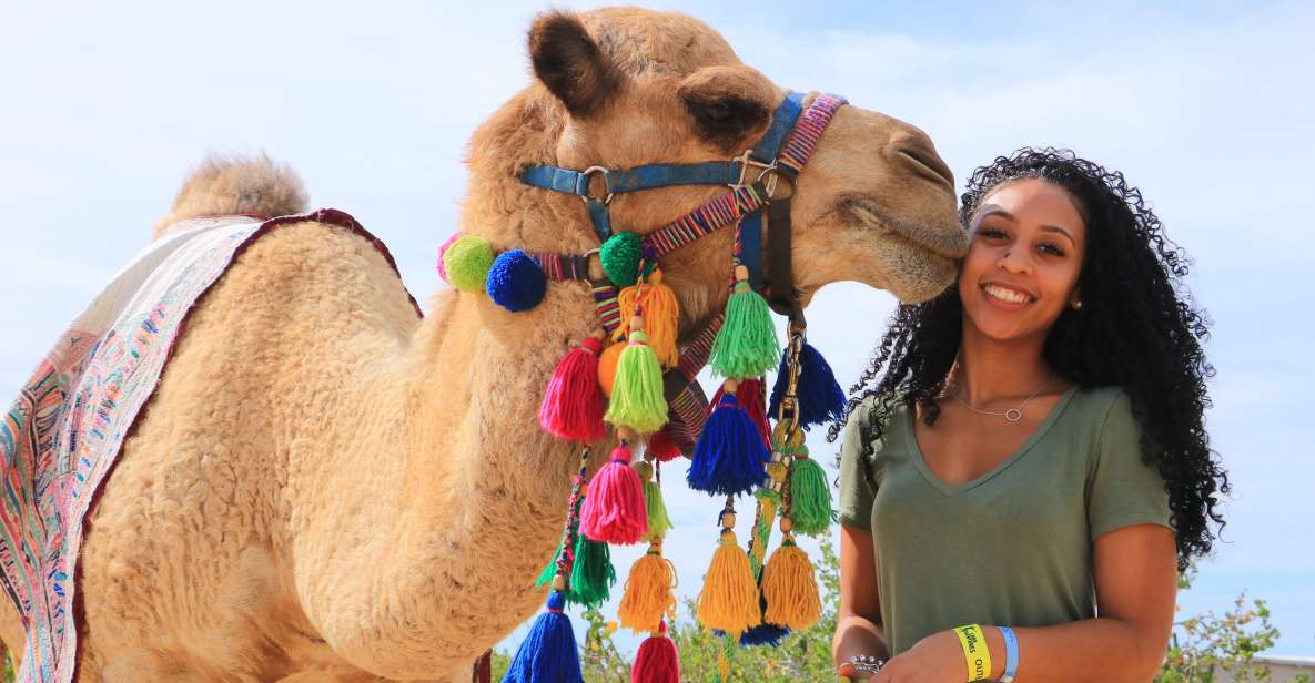 Cabo San Lucas: Half-day Guided Camel Safari Tour - Tour Restrictions