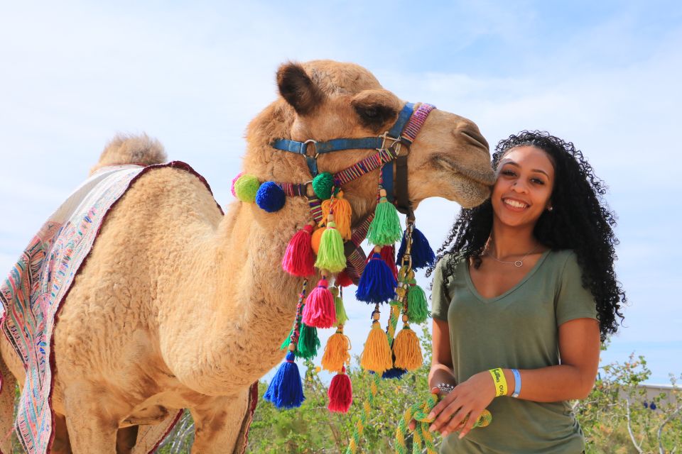 Cabo San Lucas: Half-day Guided Camel Safari Tour - Booking Information