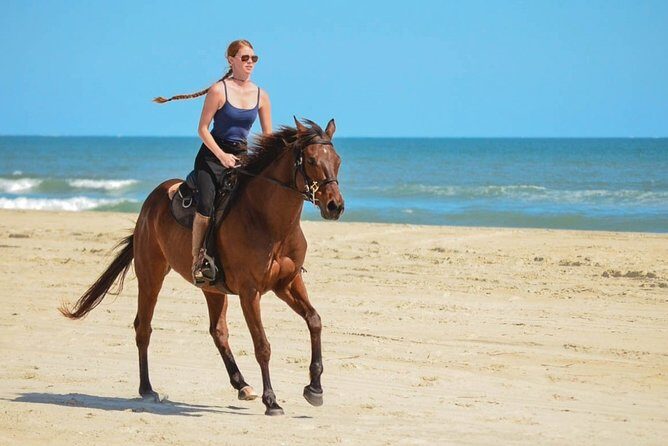Cabo San Lucas Horseback Ride on Beach and Desert - Who Should Consider This Tour?