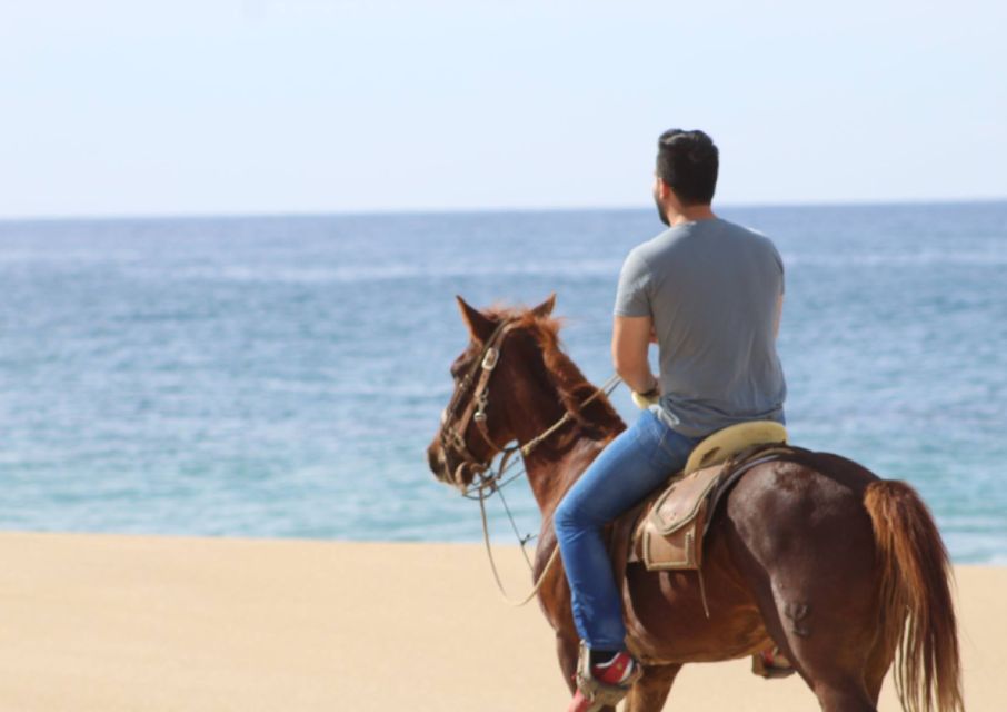 Cabo San Lucas: Horseback Riding Adventure - Key Points
