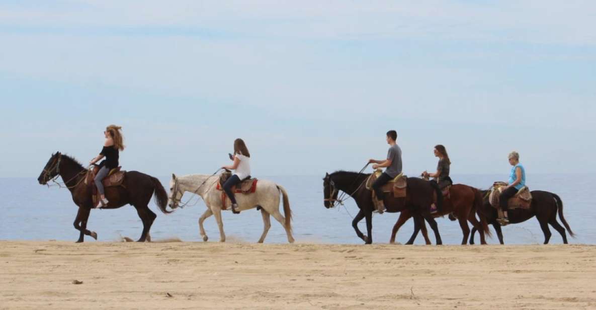 Cabo San Lucas: Horseback Riding Adventure - Included in the Tour