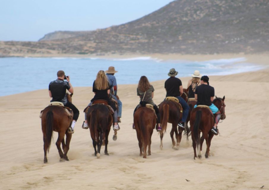 Cabo San Lucas: Horseback Riding Adventure - Age and Weight Restrictions