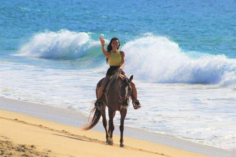 Cabo San Lucas: Horseback Riding Corredor Turistico - Key Points