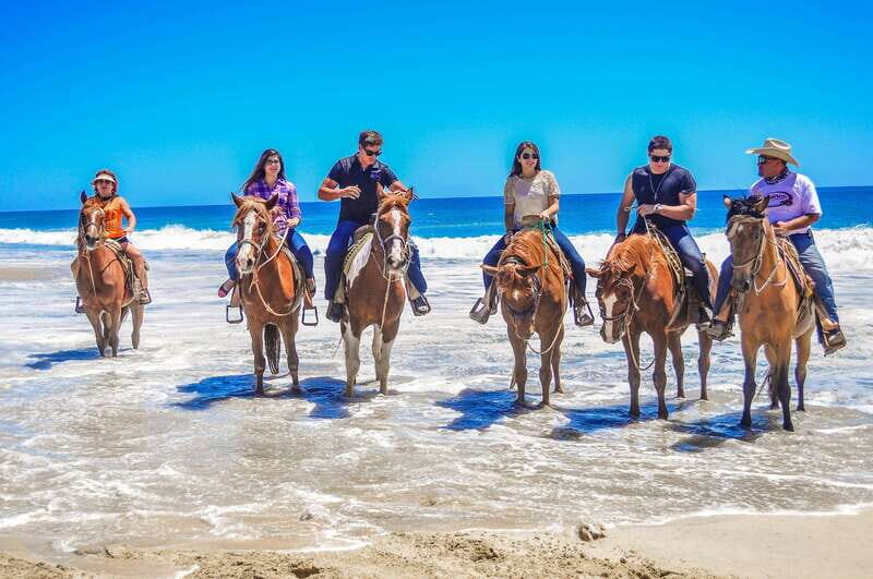 Cabo San Lucas: Horseback Riding Corredor Turistico - The Sum Up