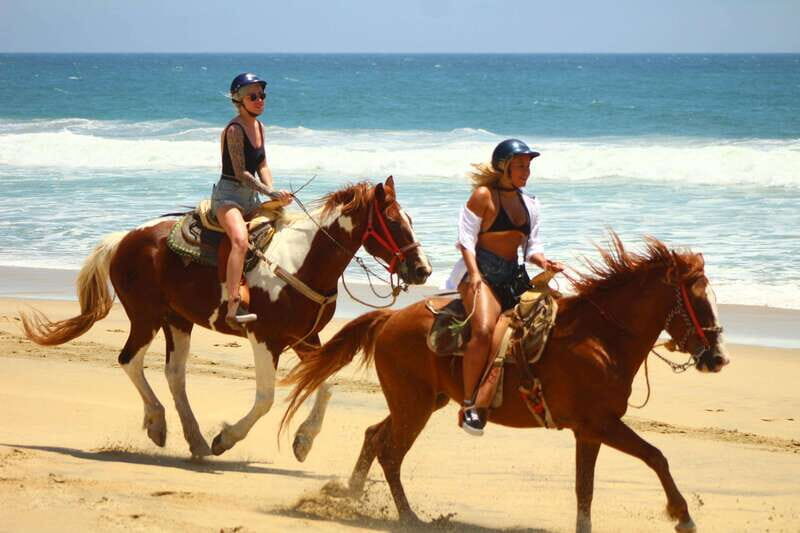 Cabo San Lucas: Horseback Riding in Migriño with Transfers - Key Points