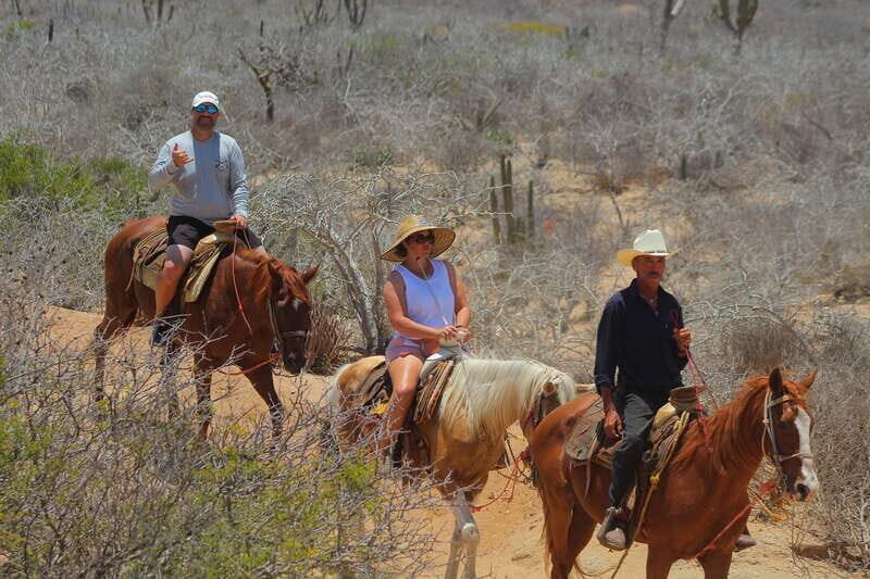 Cabo San Lucas: Horseback Riding in Migriño with Transfers - Authenticity and Authentic Experiences