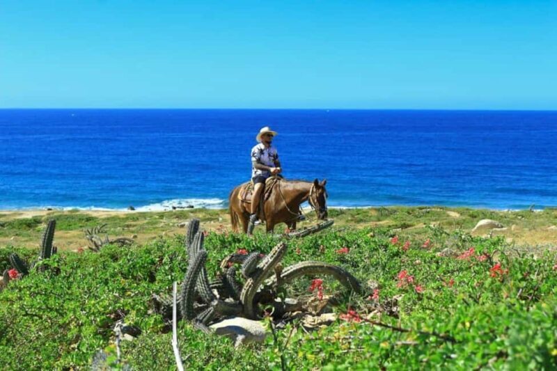 Cabo San Lucas: Horseback Riding on the Beach Experience - Assessing the Value of the Tour