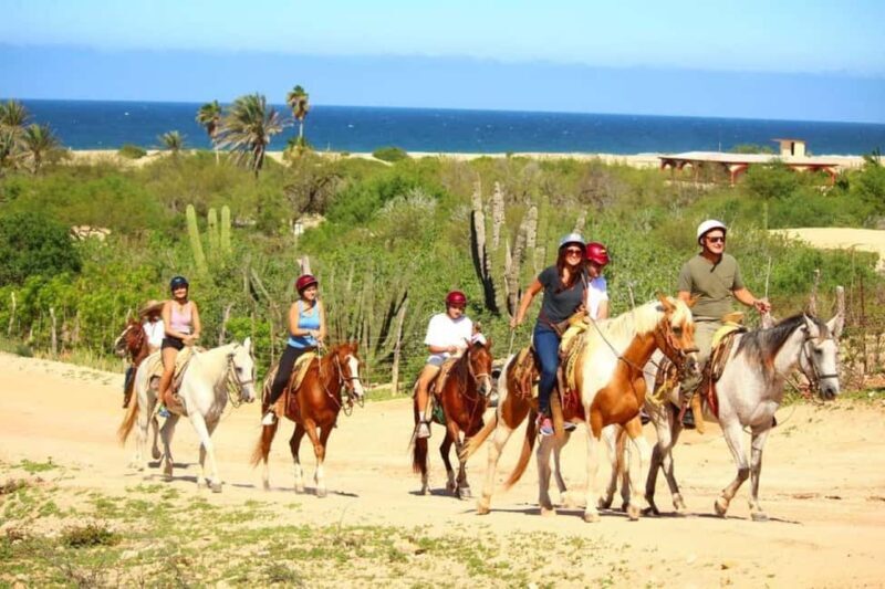 Cabo San Lucas: Horseback Riding on the Beach Experience - Final Thoughts