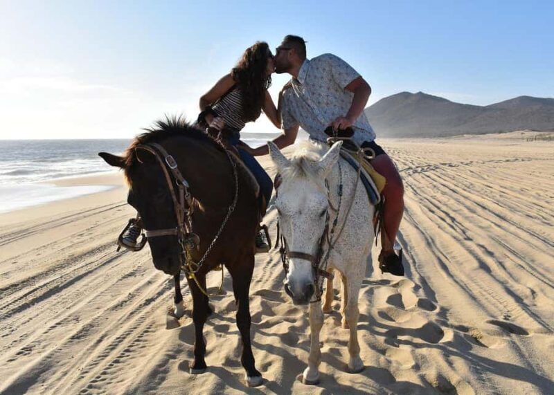 Cabo San Lucas: Intimate Sunset Horseback Ride and Dinner - Key Points