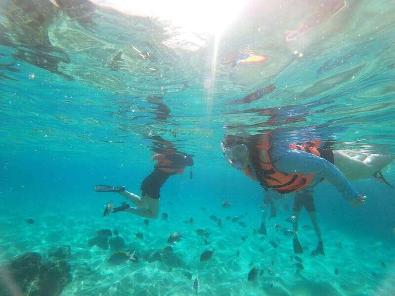 Cabo San Lucas: Kayaking Adventure Tour - What the Tour Means for You as a Traveler