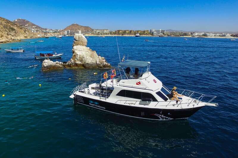 Cabo San Lucas: Local Dives (CSL Marine Park) and Corridor. - Final Thoughts: Who Is It Best For?