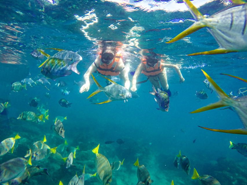 Cabo San Lucas: Luxury Catamaran and Snorkelling With Lunch - Important Considerations