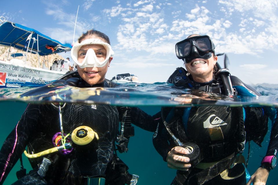 Cabo San Lucas Marine Park Scuba Diving - Key Points