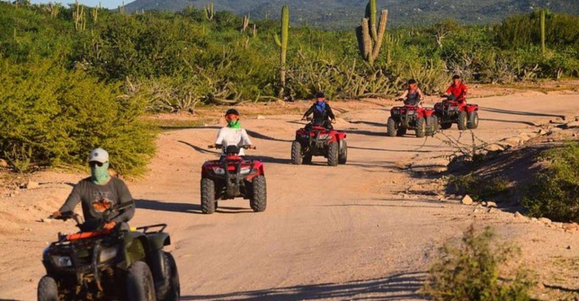 Cabo San Lucas: Migrino Beach & Desert ATV Tour - Driving Your Own ATV