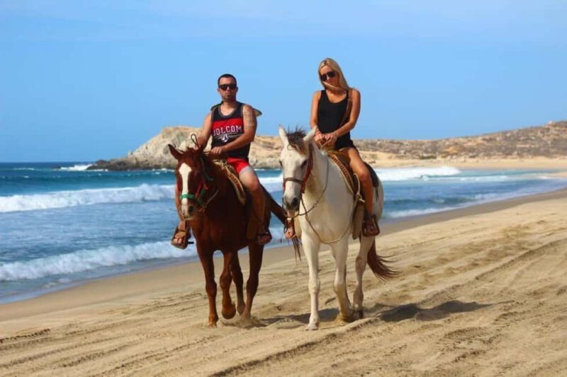 Cabo San Lucas: Migriño Horseback Riding Adventure - An Introduction to the Migriño Horseback Riding Adventure