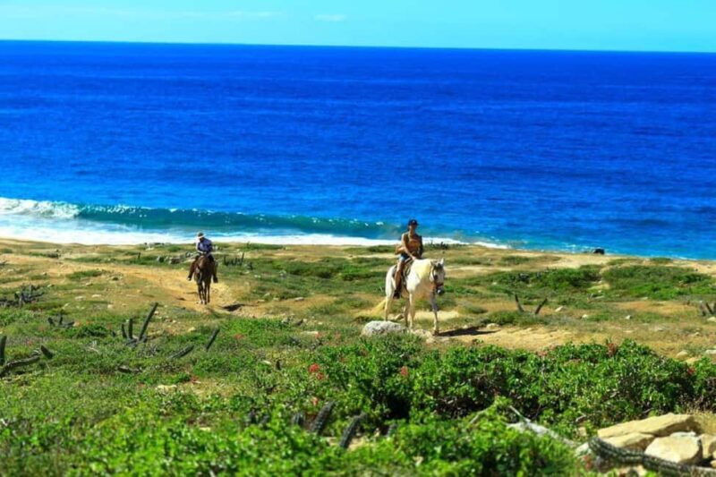 Cabo San Lucas: Migriño Horseback Riding Adventure - The Details: Cost, Duration, and Practicalities