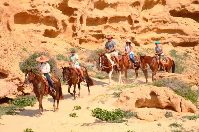 Cabo San Lucas: Migriño Horseback Riding Adventure - FAQs