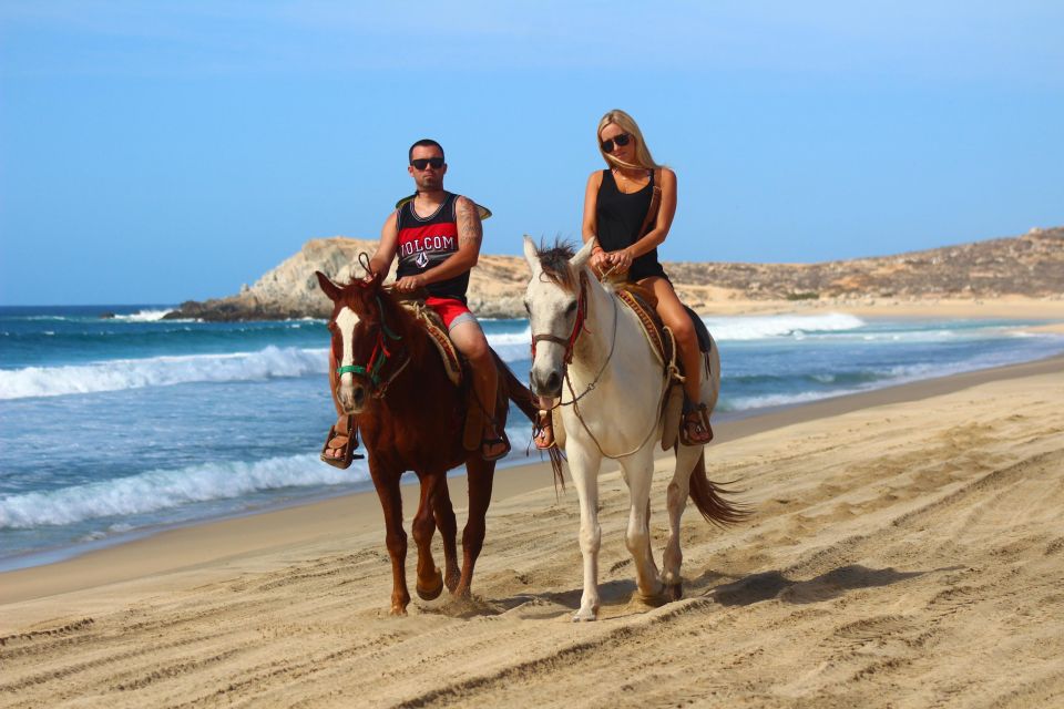 Cabo San Lucas: Migriño Horseback Riding - Pickup and Drop-off