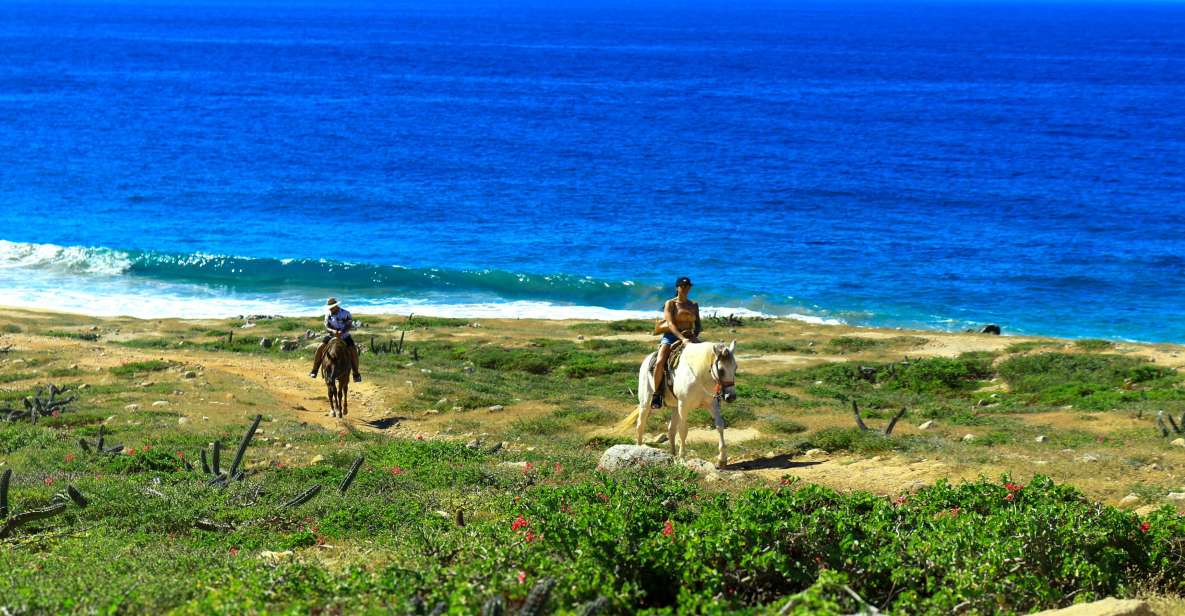Cabo San Lucas: Migriño Horseback Riding - Highlights