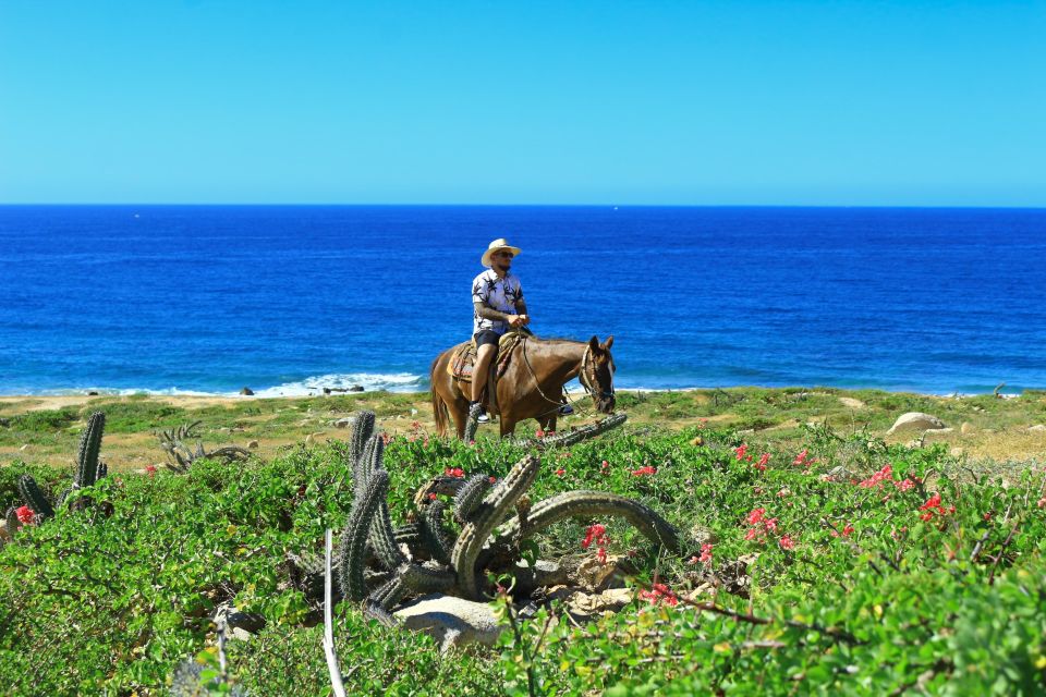 Cabo San Lucas: Migriño Horseback Riding - Safety Considerations