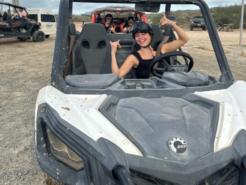 Cabo San Lucas: Migri??o Beach & Desert UTV Adventure - Key Points