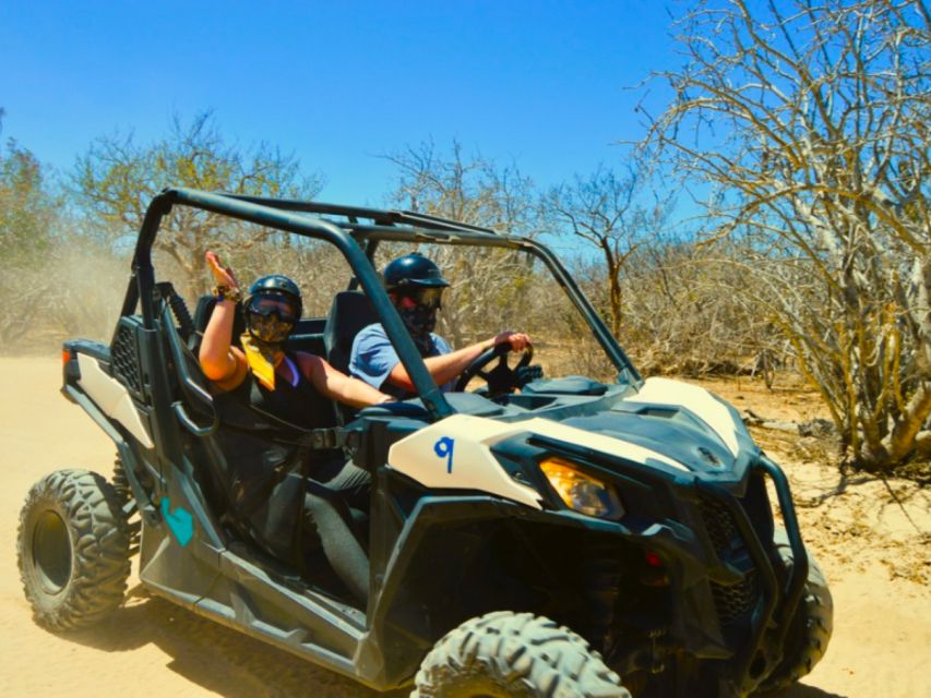 Cabo San Lucas: Migri??o Beach & Desert UTV Adventure - Explore Pristine Beaches and Dunes