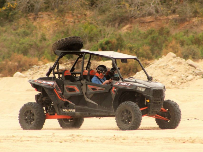 Cabo San Lucas: Migri??o Beach & Desert UTV Adventure - Wildlife Encounters in the Desert