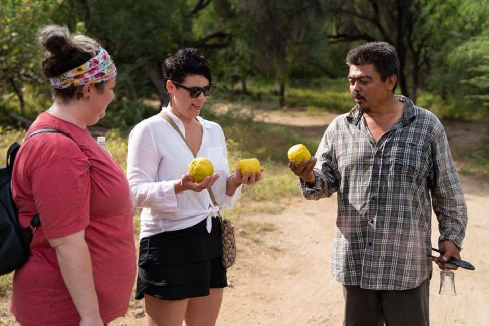 Cabo San Lucas: Pericu Native Road Hike - Highlights of the Experience