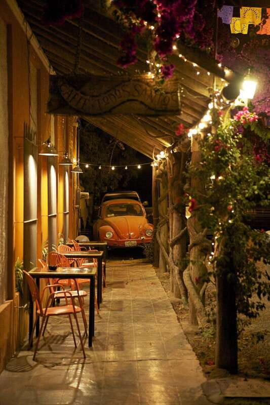 Cabo San Lucas: Private Jeep Tour to Todos Santos - An Authentic Baja Day: What to Expect