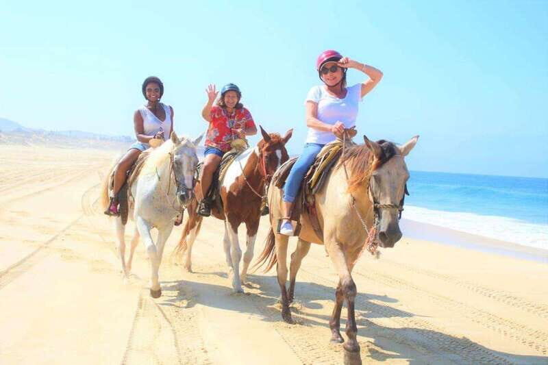 Cabo San Lucas: Scenic Horseback Ride Along the Corridor - A Thorough Look at the Experience