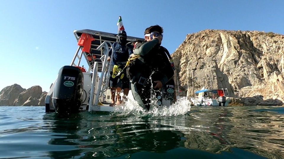 Cabo San Lucas: Scuba Diving at 2 Local Sites in Cabo Bay - Discover Sea Lion Colony