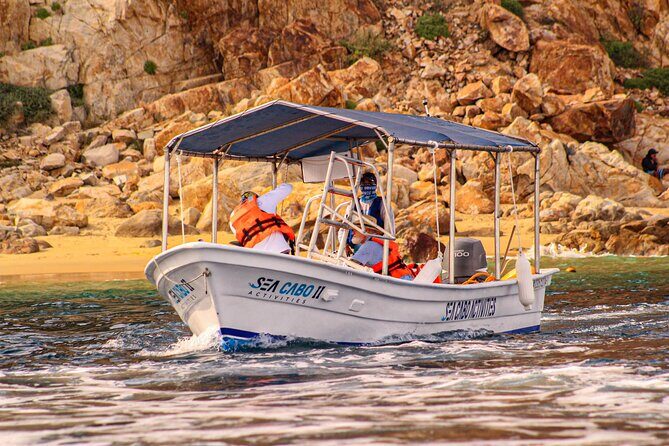 Cabo San Lucas Shared Glass Bottom Boat Experience - Analyzing the Experience: What You Can Expect