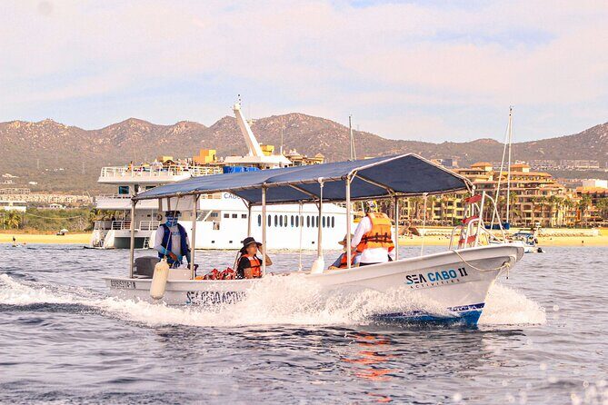 Cabo San Lucas Shared Glass Bottom Boat Experience - Final Summary: Why It’s Worth Considering