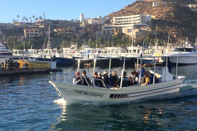 Cabo San Lucas Small-Group Whale Watching Tour: Hear the Whales - Introduction: What to Expect