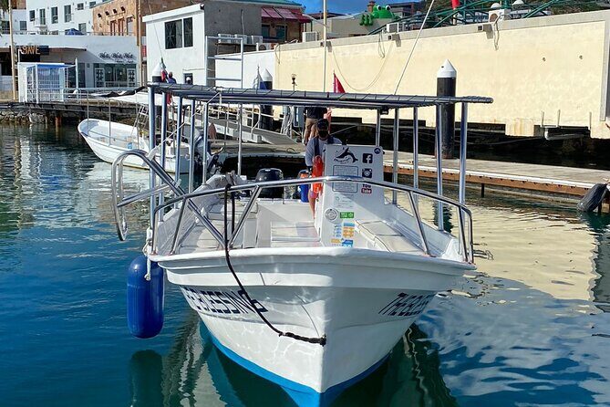 Cabo San Lucas Small-Group Whale Watching Tour: Hear the Whales - The Experience: What Travelers Are Saying