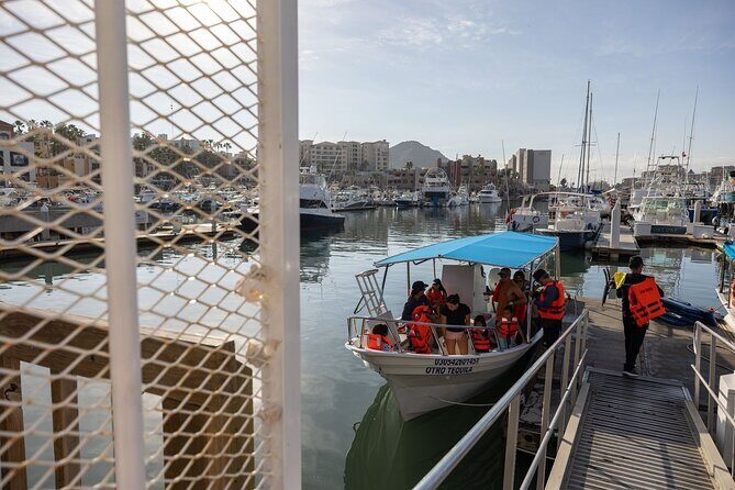 Cabo San Lucas Snorkel Adventure with Photos Included - Who Is This Tour Best For?