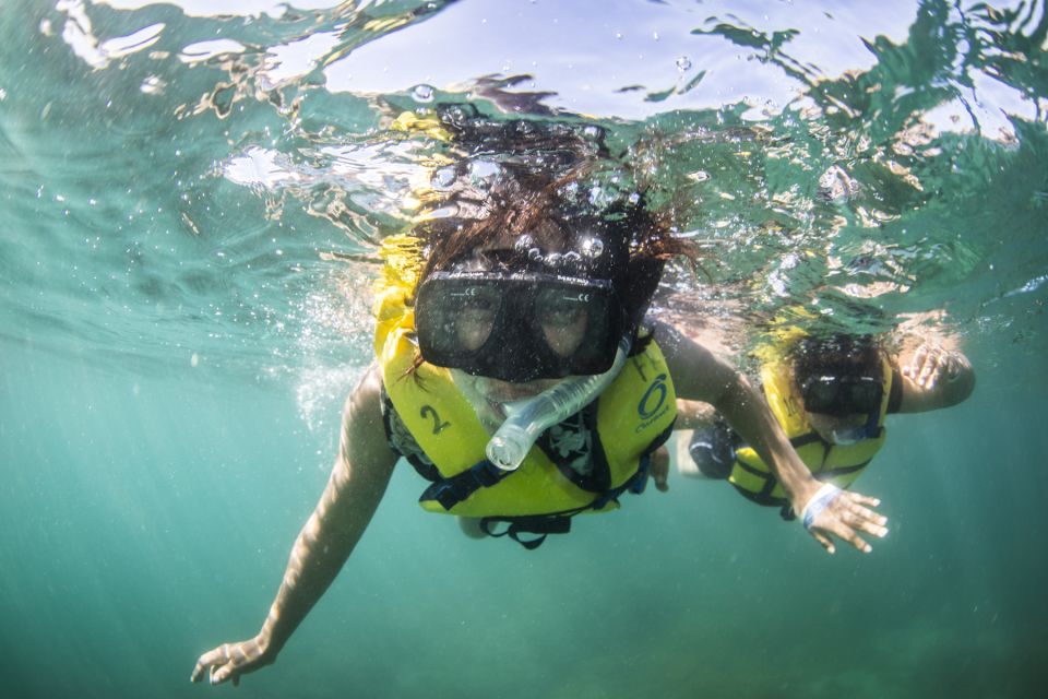 Cabo San Lucas: Snorkel, Lunch and Sail Experience - Frequently Asked Questions