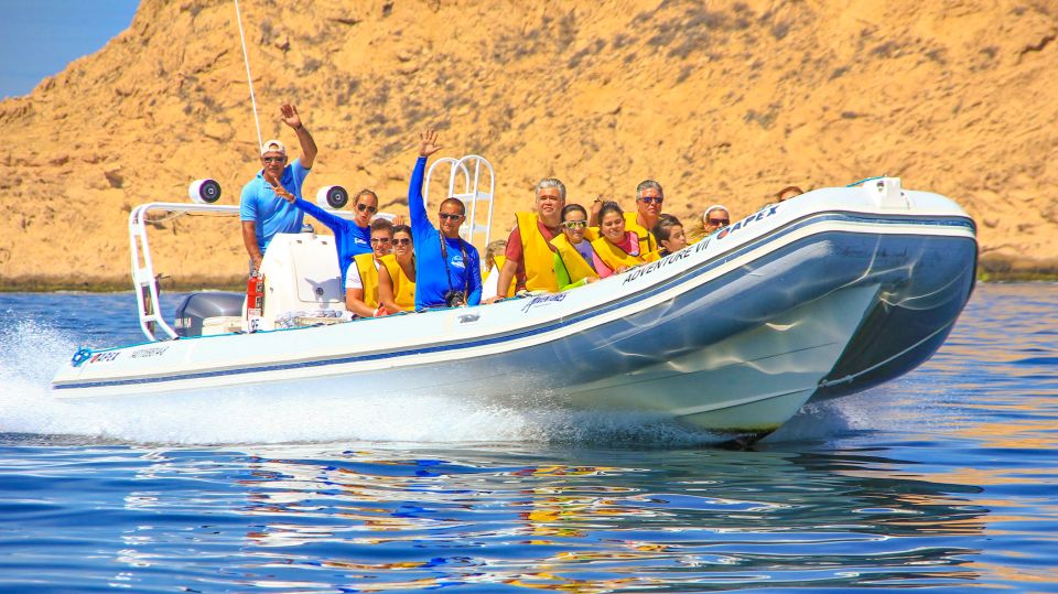 Cabo San Lucas: Snorkel, Paddle-Board, And/Or Kayak Tour - Key Points