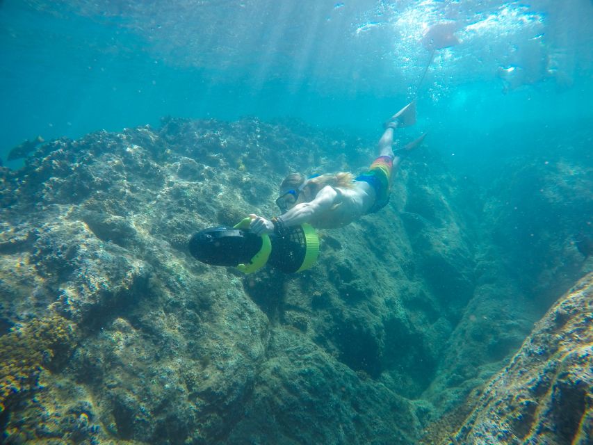 Cabo San Lucas: Snorkel, Paddle-Board, And/Or Kayak Tour - Snorkeling and Marine Life
