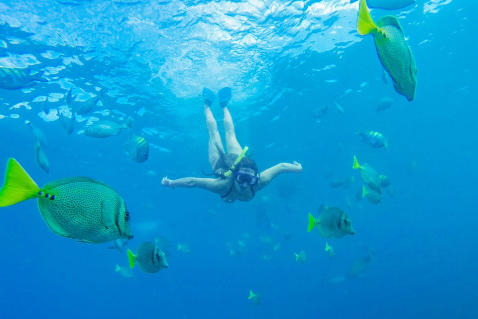 Cabo San Lucas: Snorkel, Paddle-Board, And/Or Kayak Tour - Inclusions and Exclusions