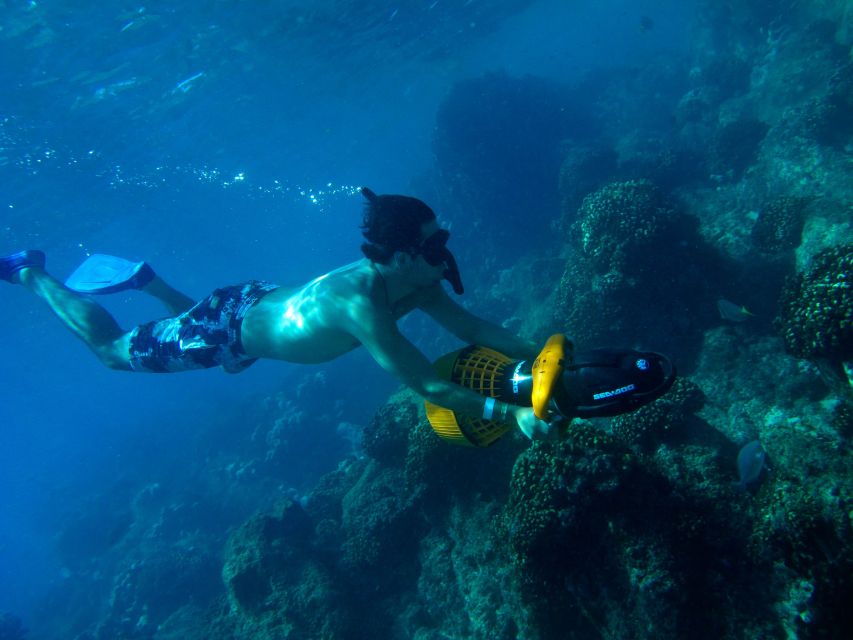 Cabo San Lucas: Snorkel, Paddle-Board, And/Or Kayak Tour - Meeting Point and Pickup