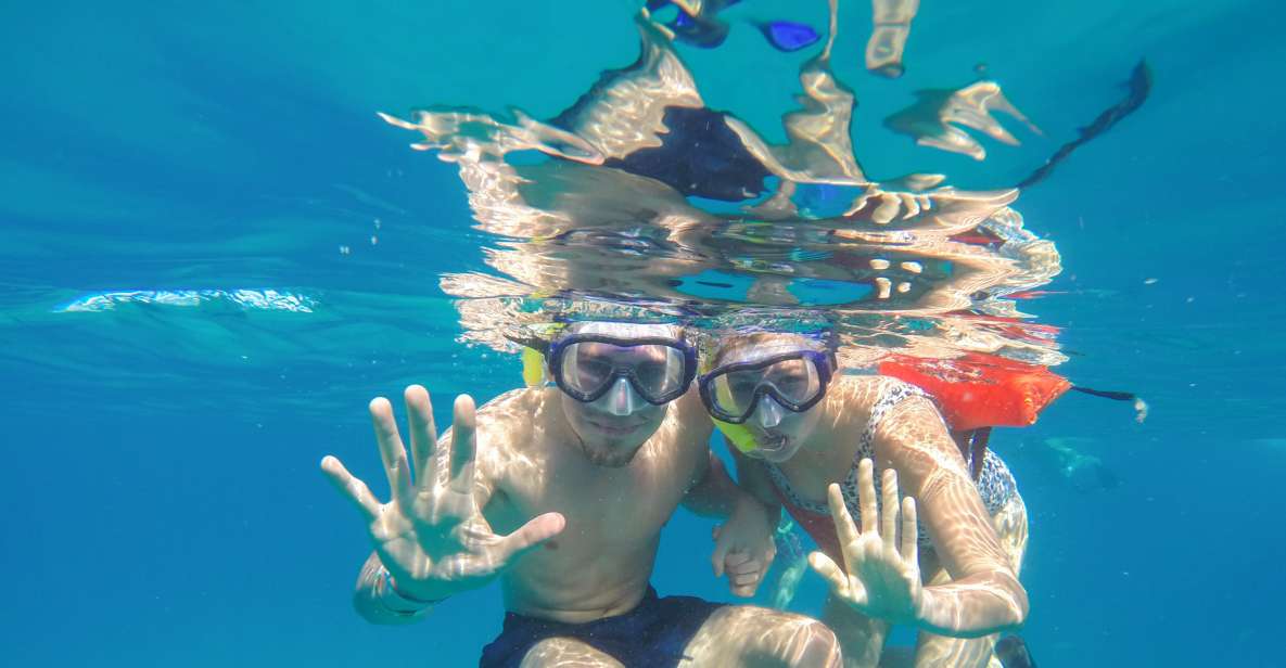 Cabo San Lucas: Snorkel Tour With Open Bar & Snacks - Key Points