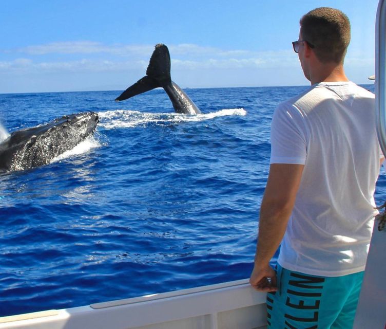 Cabo San Lucas: Snorkel Tour With Open Bar & Snacks - Additional Items to Bring