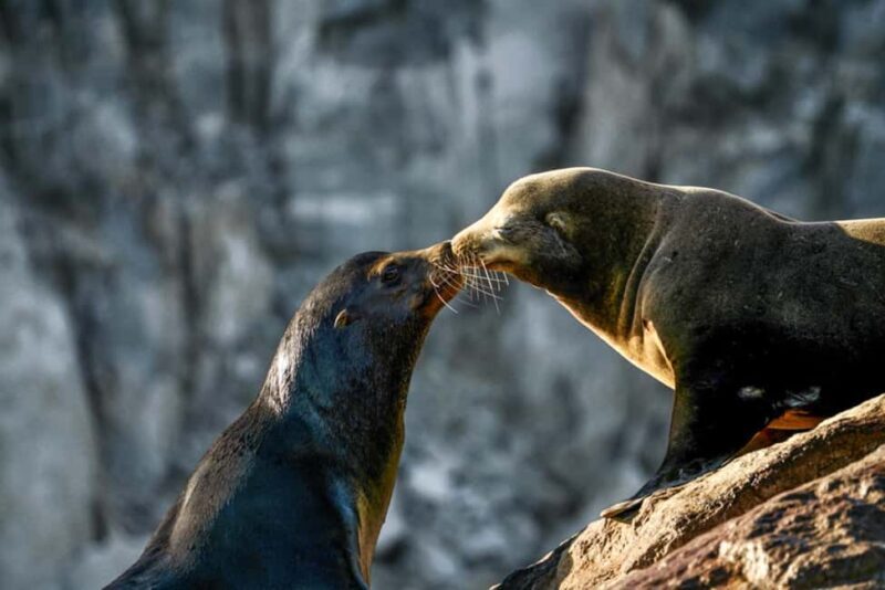 Cabo San Lucas: Sunset Cruise - An in-depth look at the Cabo San Lucas Sunset Cruise