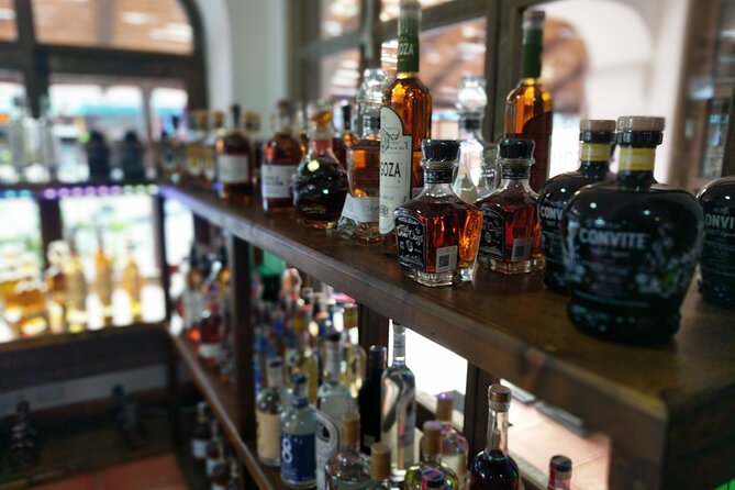 Cabo San Lucas Tequila Tasting Experience - Accessibility